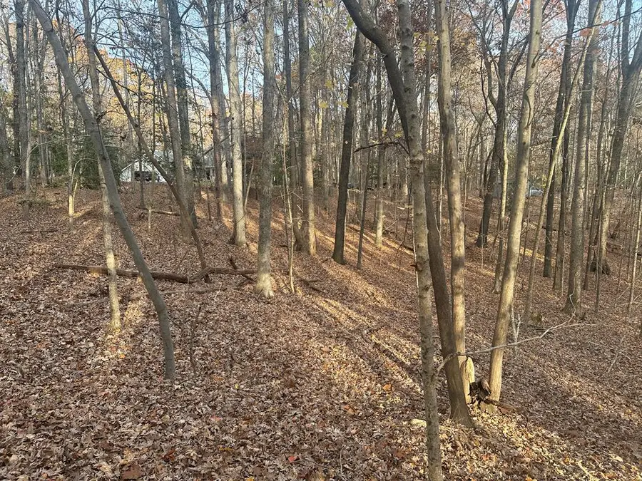 Lot 51 Maplewood Court, Clarksville, VA 23927 - Image #3