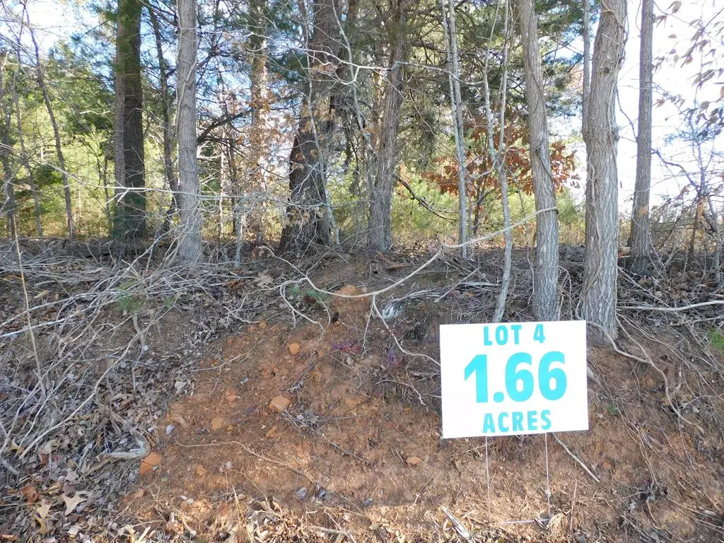 Lot 4 Asbury Church Road, Vernon Hill, VA 24597 - #1