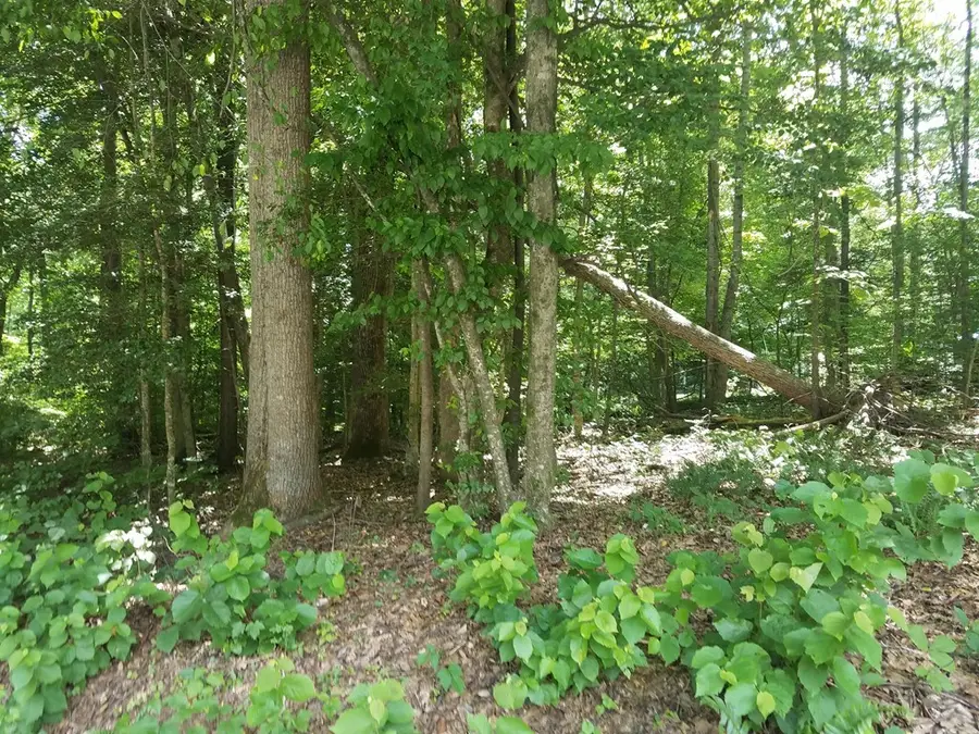 Longwood Drive, Bracey, VA 23919 - Image #3