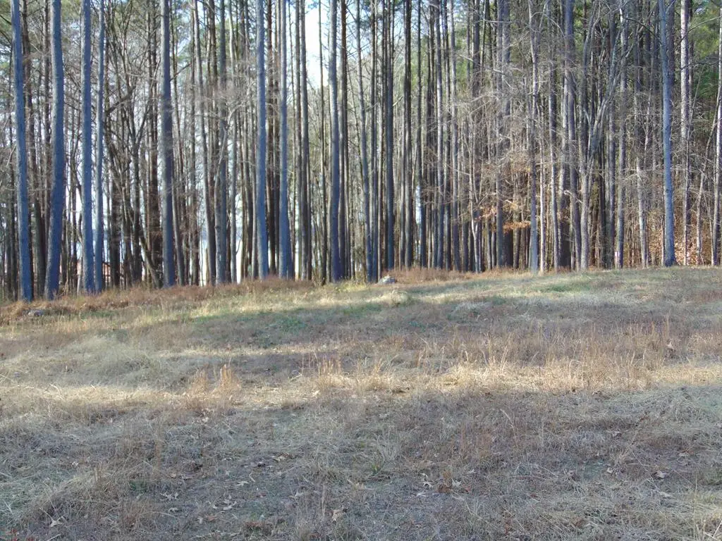 183 Doc Lane, Manson, NC 27553 - Image #1