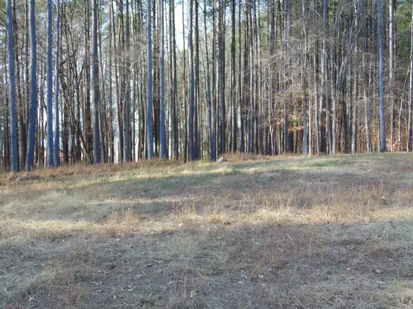 183 Doc Lane, Manson, NC 27553