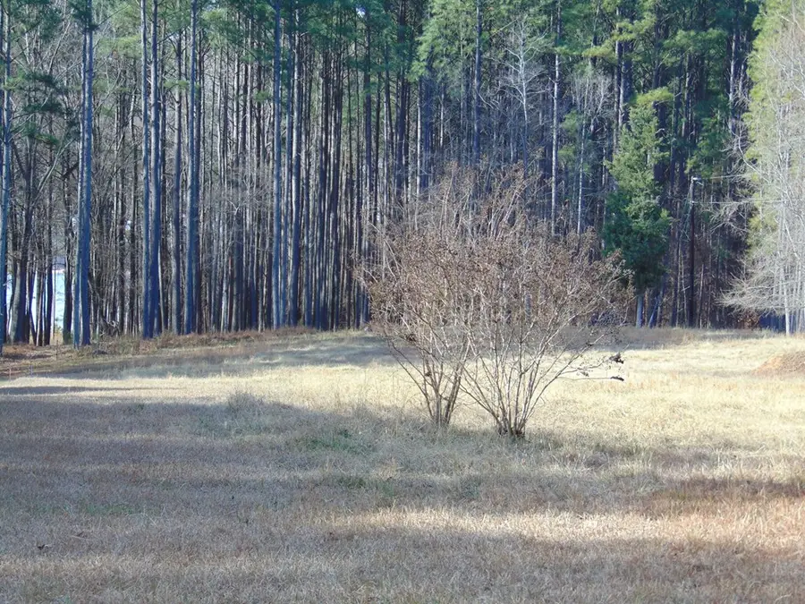 183 Doc Lane, Manson, NC 27553 - Image #2