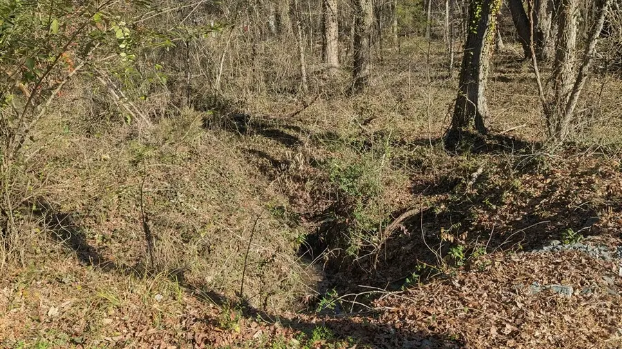 00 Marrow Street, Clarksville, VA 23927 - Image #3