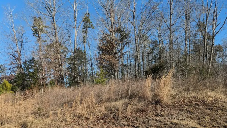 Kiza Drive, Buffalo Junction, VA 24529 - Image #2