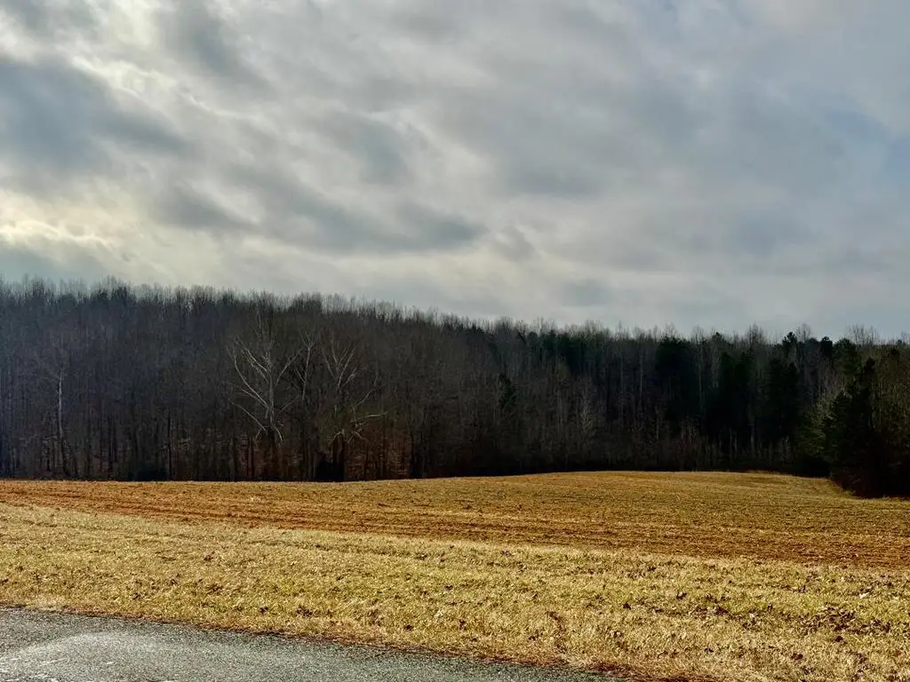 0 Henrys Mill Road, Vernon Hill, VA 24597 - #1