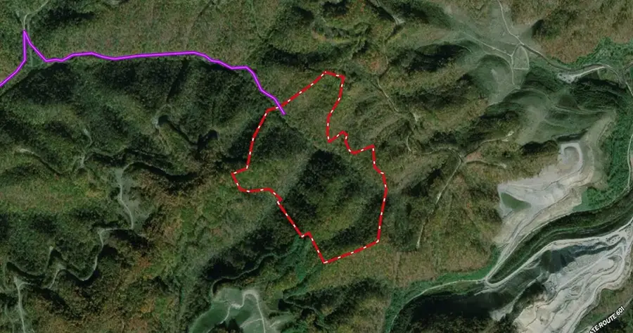 Frying Pan Road, Bee, VA 24217 - #2