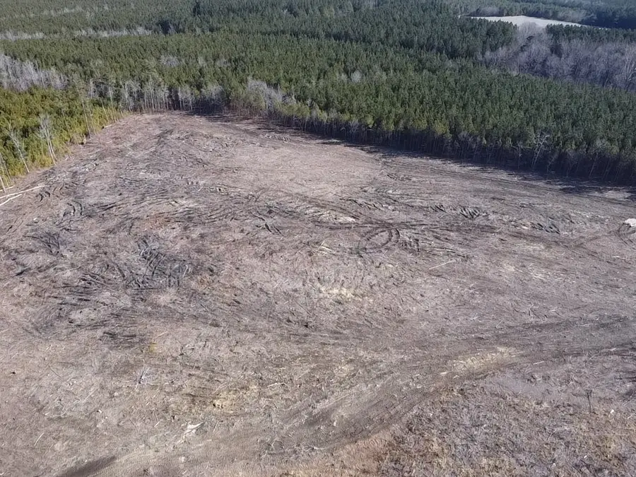 10 Acres Diguardi Drive, Dolphin, VA 23843 - #2