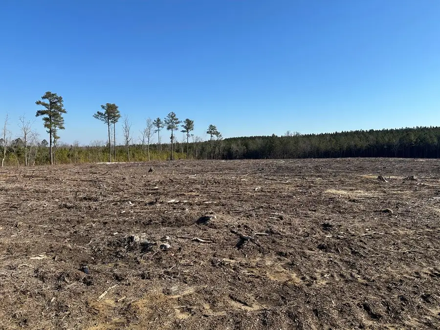 10 Acres Diguardi Drive, Dolphin, VA 23843 - #3