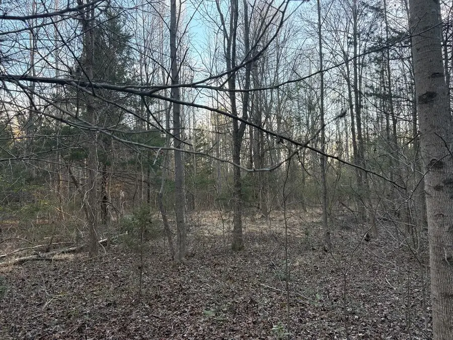 17732 Highway 58, Boydton, VA 23917 - #3