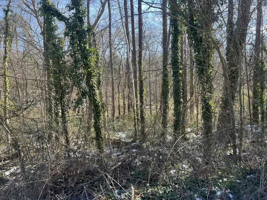 0.69 AC Willingham Avenue, South Boston, VA 24592 - #2