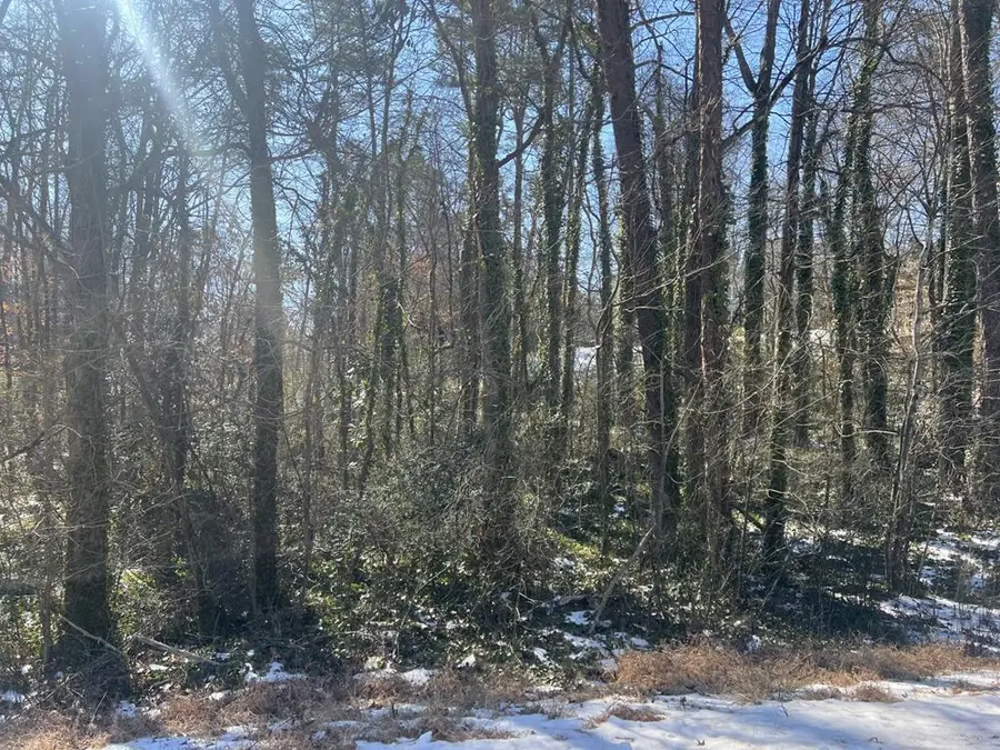 0.69 AC Willingham Avenue, South Boston, VA 24592 - #3