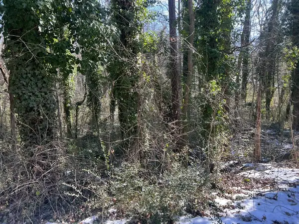 0.46 AC Willingham Avenue, South Boston, VA 24592