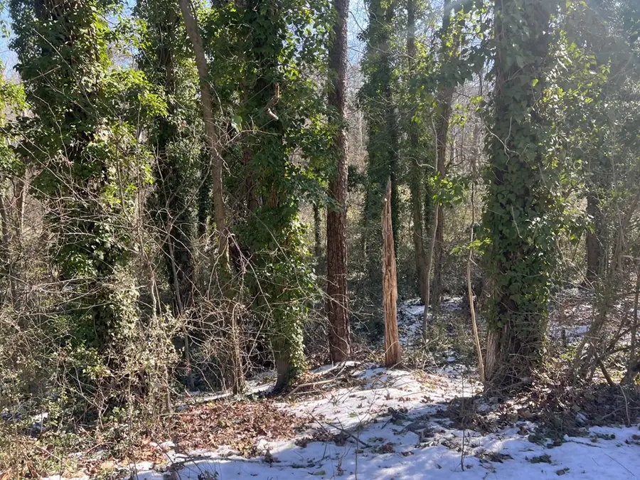 0.46 AC Willingham Avenue, South Boston, VA 24592 - #2