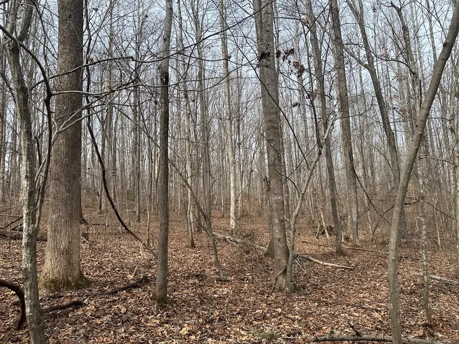 5.1 Acs Prince Edward Highway, Prospect, VA 23960 - #2