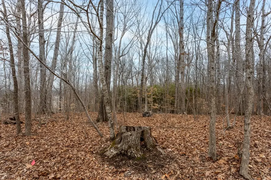 Lot 10 Thacker & Shelton Lane, Buffalo Junction, VA 24529 - #2