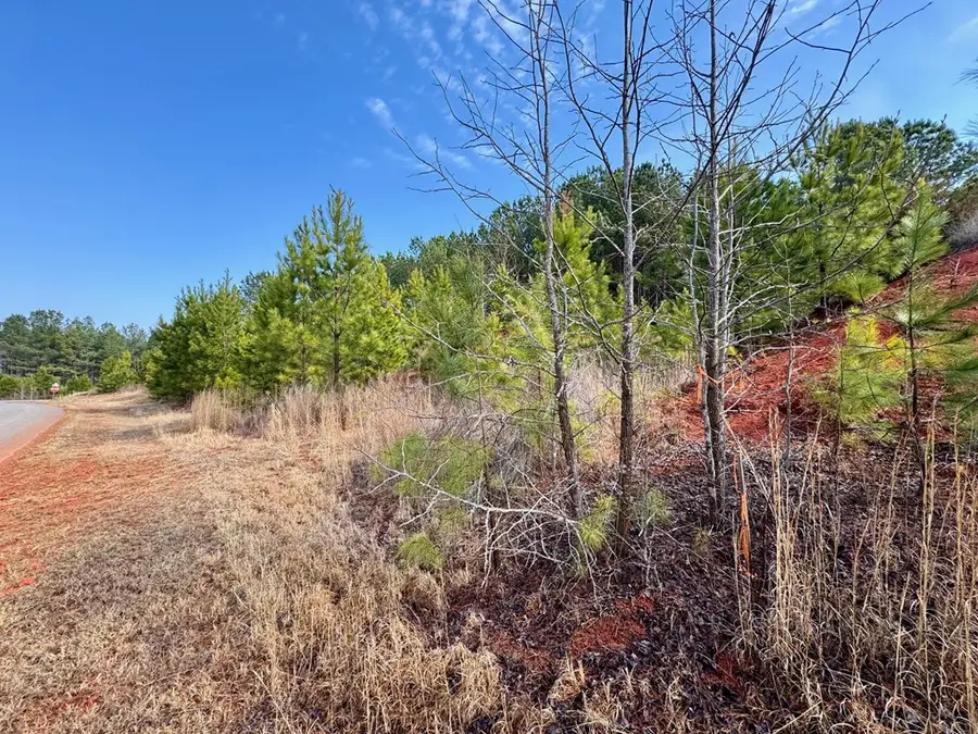 Lot 21 Belle Grove Drive, Clarksville, VA 23927 - #3