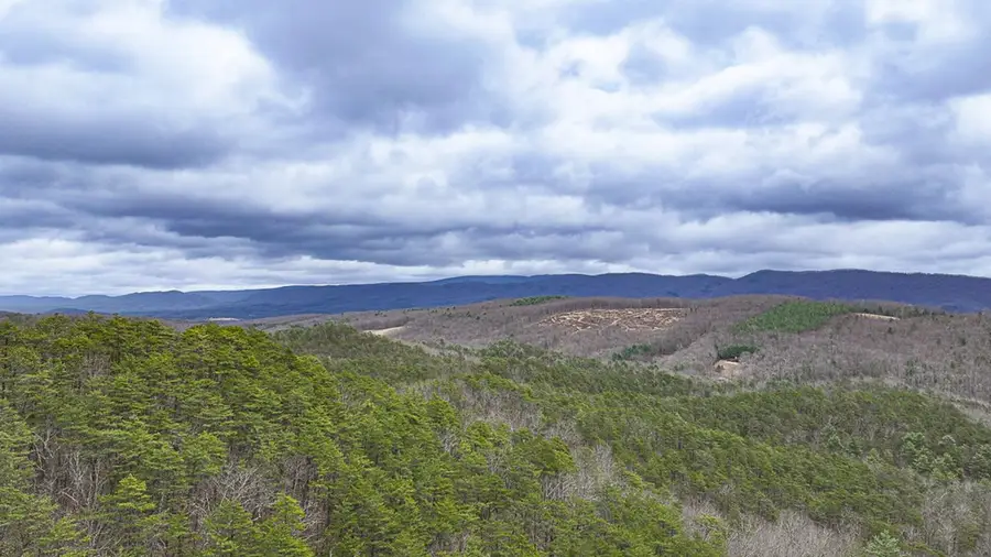 TBD W Morris Hill, Covington, VA 24426 - #3