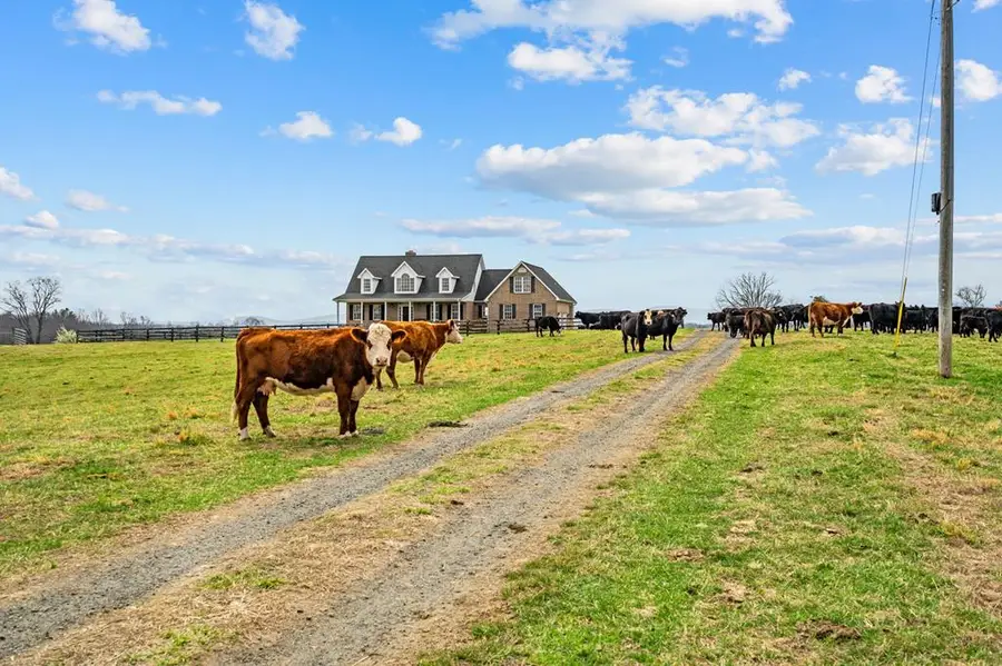 3740 Jacks Shop Road, Rochelle, VA 22738 - #3