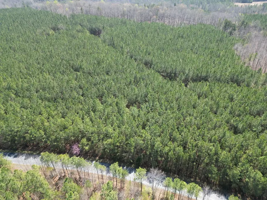 1722 Miller Camp Road, Buckingham, VA 23921 - #2