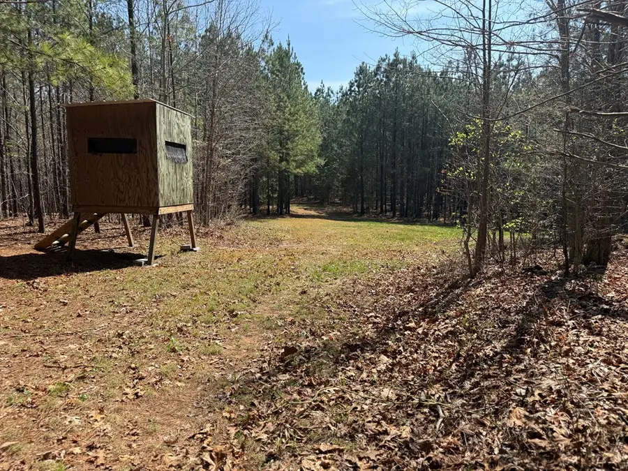 1722 Miller Camp Road, Buckingham, VA 23921 - #3