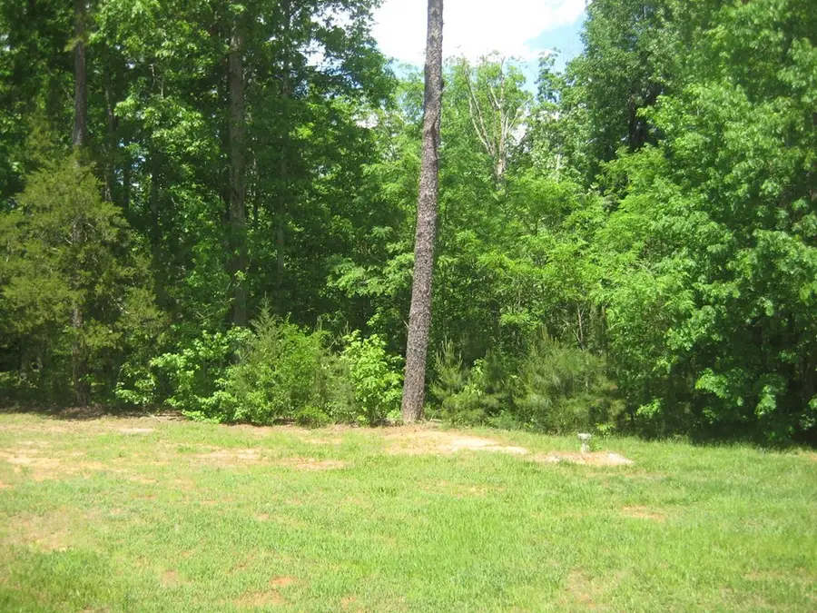 Lot 45 Buffalo Drive, Buffalo Junction, VA 24529 - #2