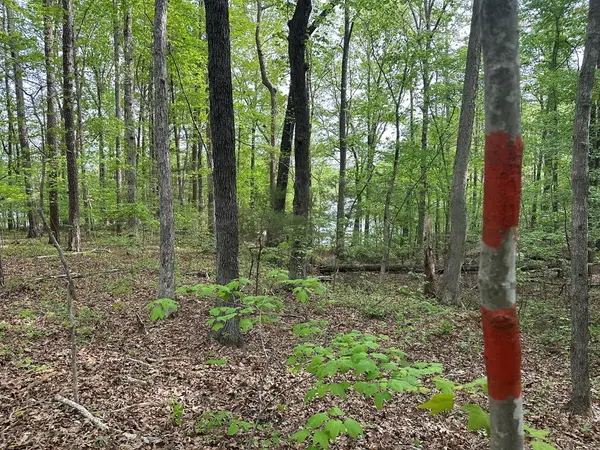 Lt 11-15 Lakefront Drive, Clarksville, VA 23927