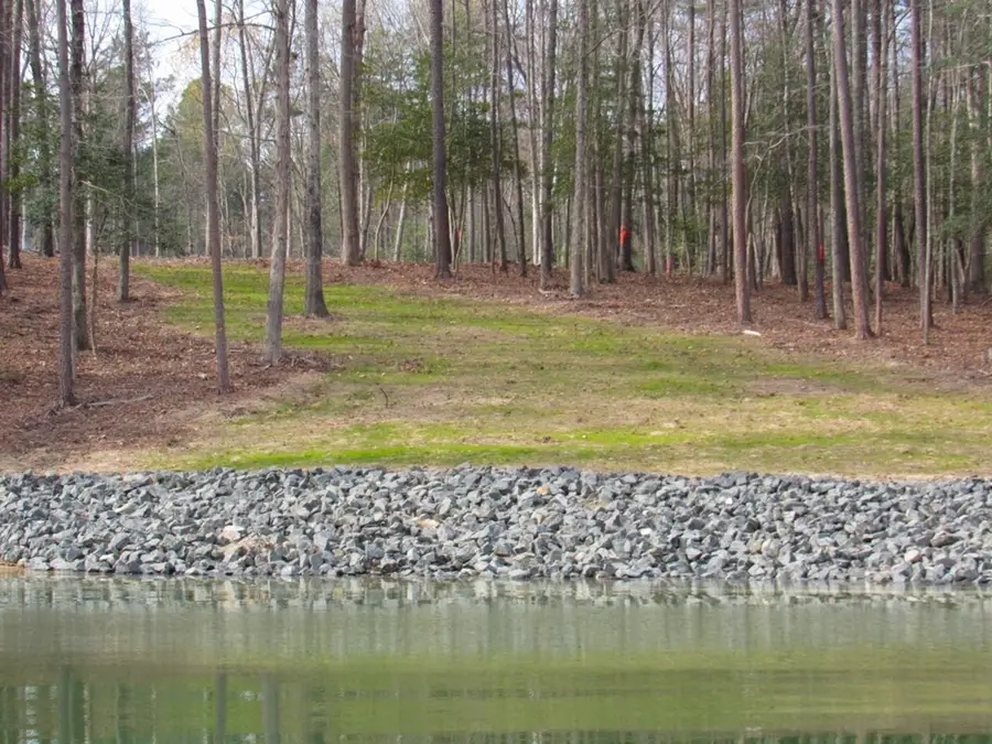 136 Shoreline Drive, Manson, NC 27553 - #3