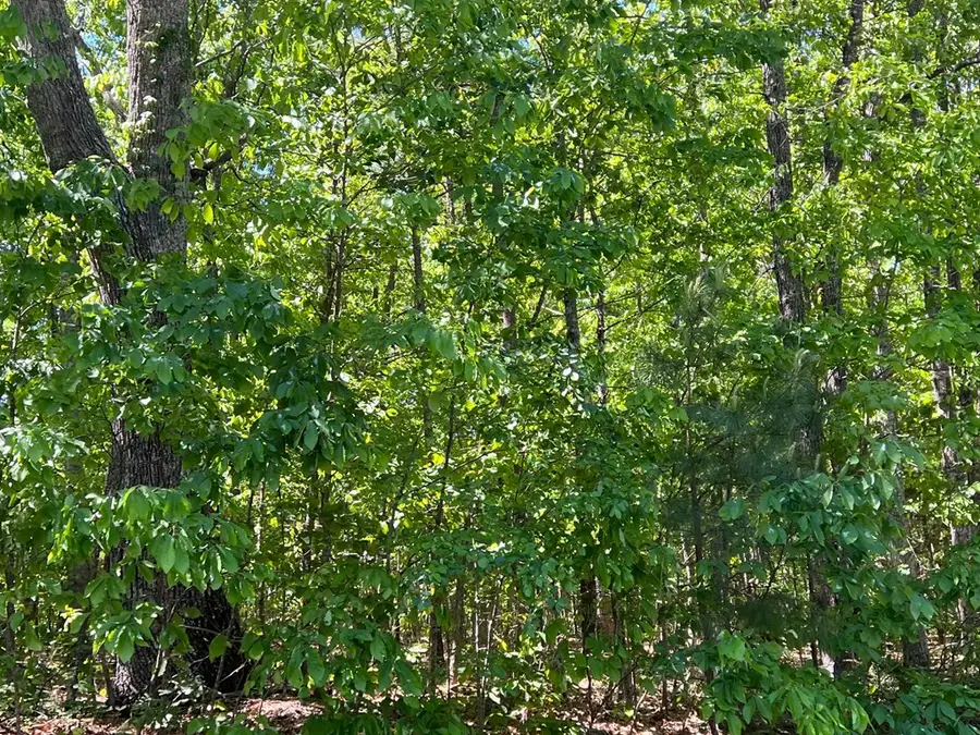 31 AC Acorn Road, Nathalie, VA 24577 - #3