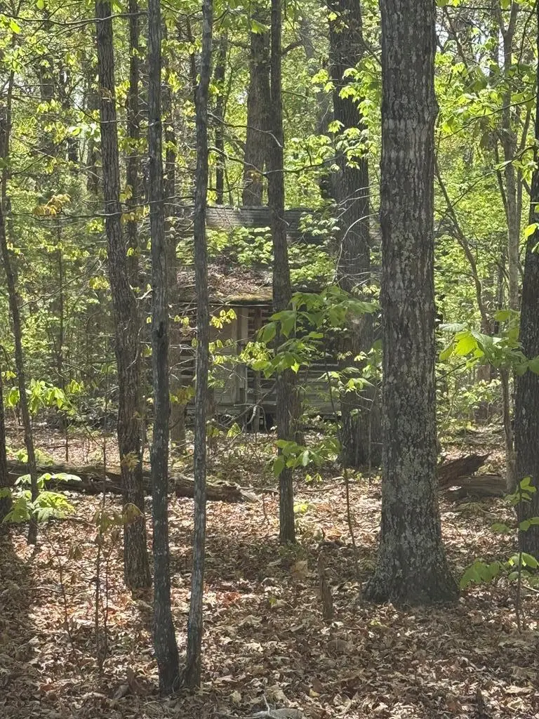 Fort Mitchell Drive, Chase City, VA 23924 - #1