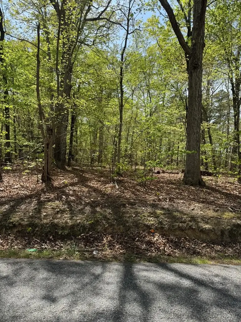 Fort Mitchell Drive, Chase City, VA 23924 - #2