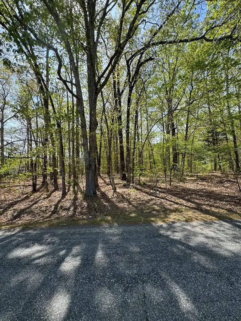 Fort Mitchell Drive, Chase City, VA 23924 - #3