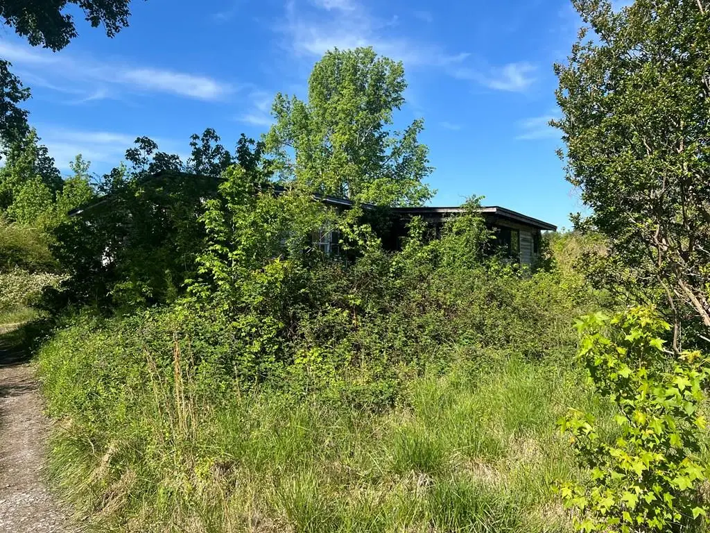 2140 Macdonald Road, Scottsburg, VA 24589 - #1