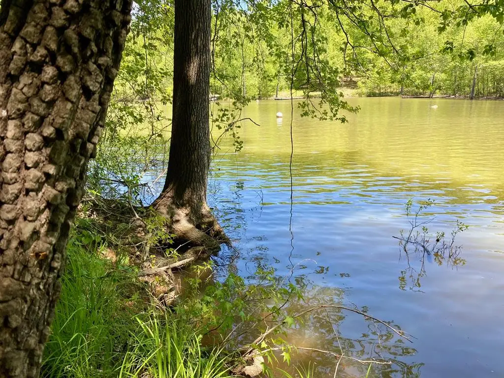 Lot 5 Palomino Road, Buffalo Junction, VA 24529 - #1