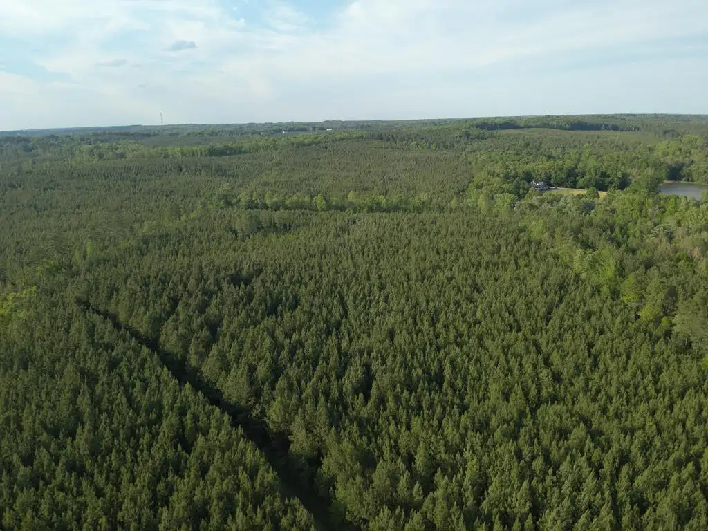 60.52 AC S Terrys Bridge Road, Scottsburg, VA 24589 - #1