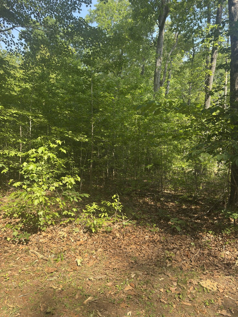 .69 AC Lewis Road, Clarksville, VA 23927 - #2