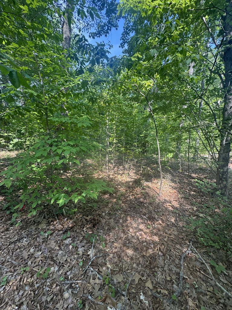 .69 AC Lewis Road, Clarksville, VA 23927 - #3