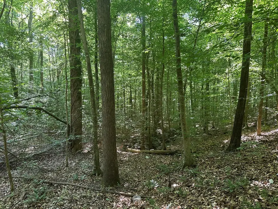 Lt 5-7 Senequa Road, Clarksville, VA 23927 - #2