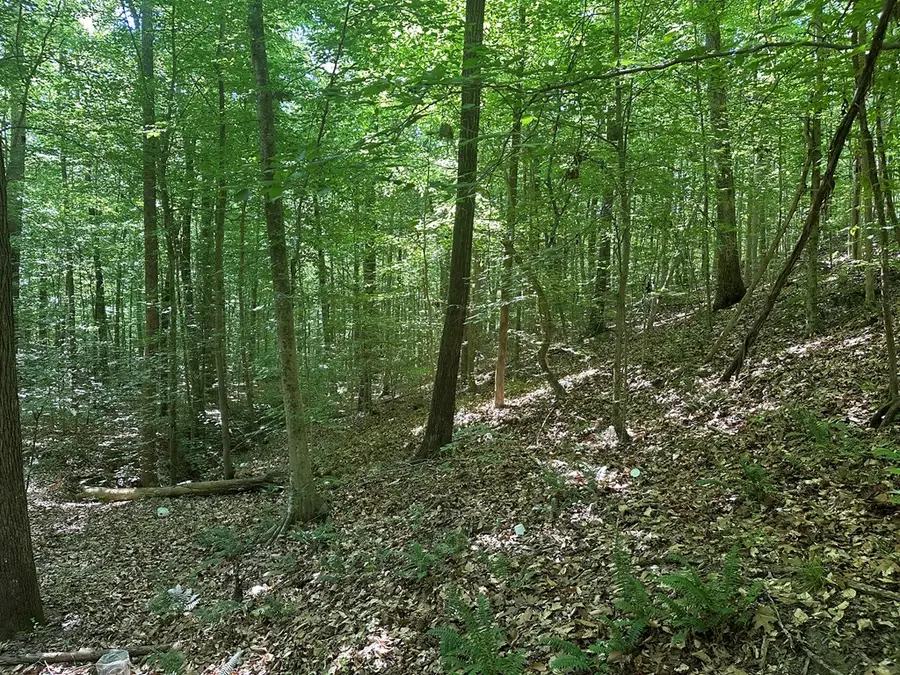 Lt 5-7 Senequa Road, Clarksville, VA 23927 - #3