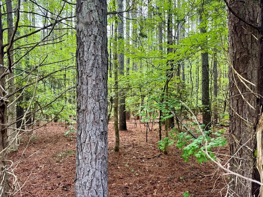 TR 4 Ivy Hill Road, Clarksville, VA 23927 - #3