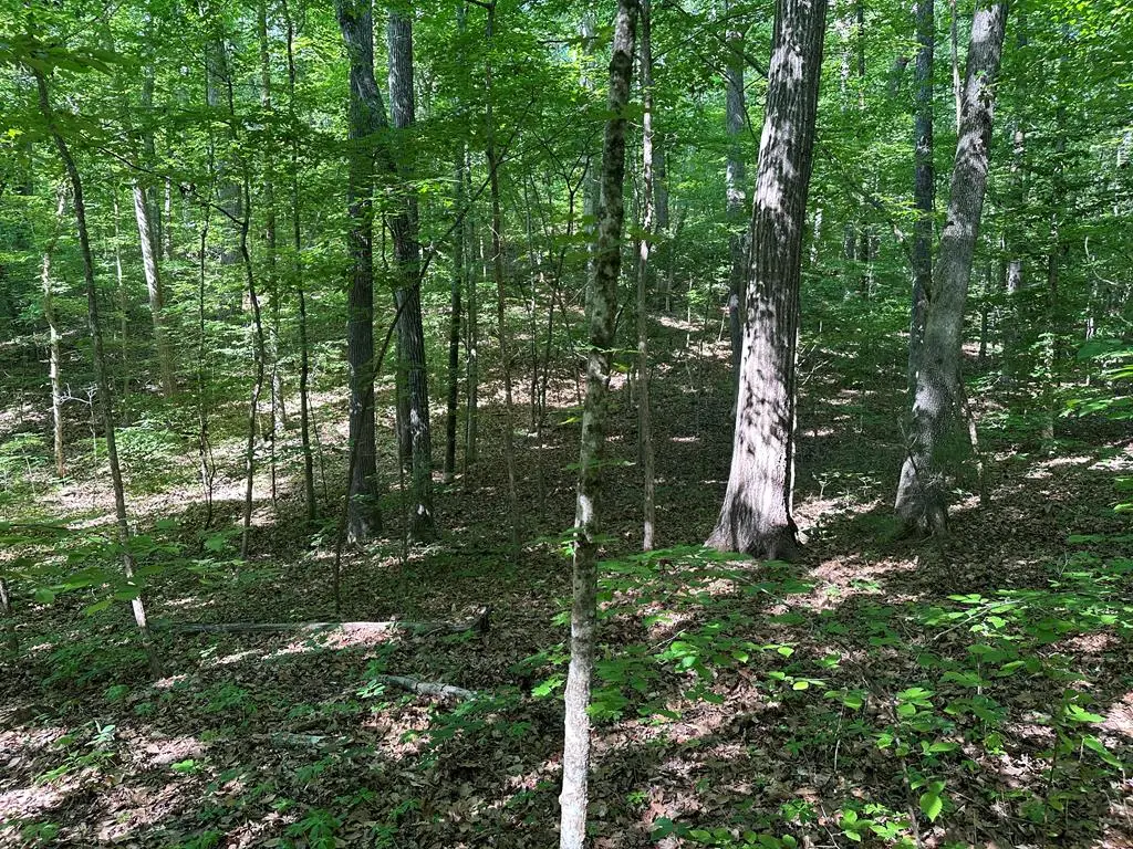 1.3 Acs Monacarn Court, Clarksville, VA 23927 - #1