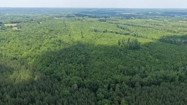 23.92 AC Chatham Road, Nathalie, VA 24577 - #3