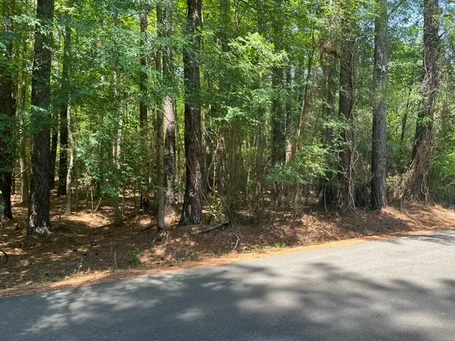 Lot 72 S Shady Lane, Clarksville, VA 23927 - #1
