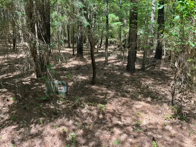 Lot 72 S Shady Lane, Clarksville, VA 23927 - #2