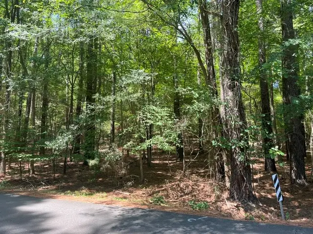 Lot 72 S Shady Lane, Clarksville, VA 23927 - #3