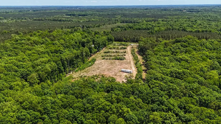 1752 Laconia Road, Red Oak, VA 23964 - #3