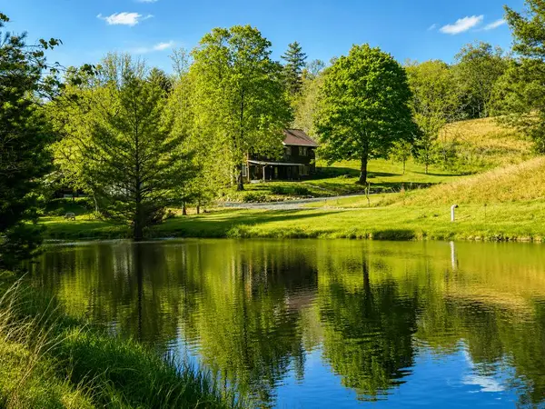 322 Flood Lane, Williamsville, VA 24487