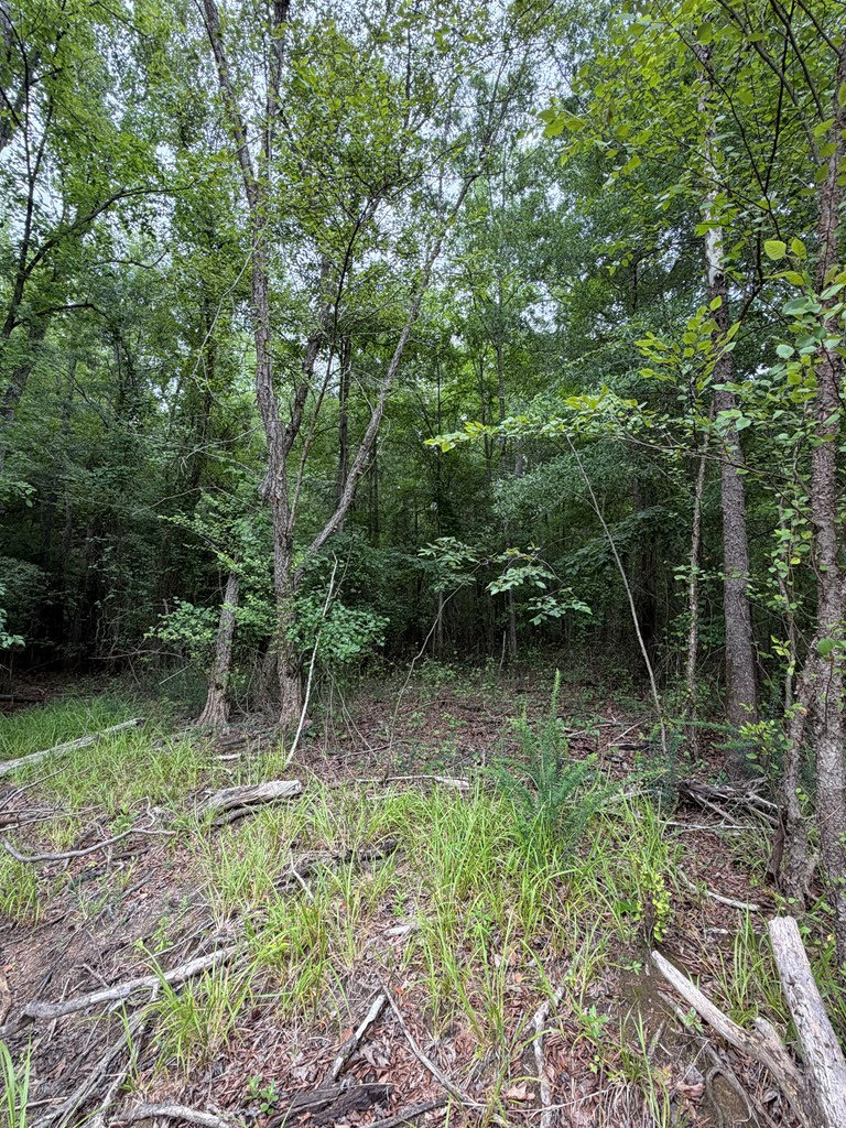 lot 57 Cedar Point Drive, Buffalo Junction, VA 24529 - #3