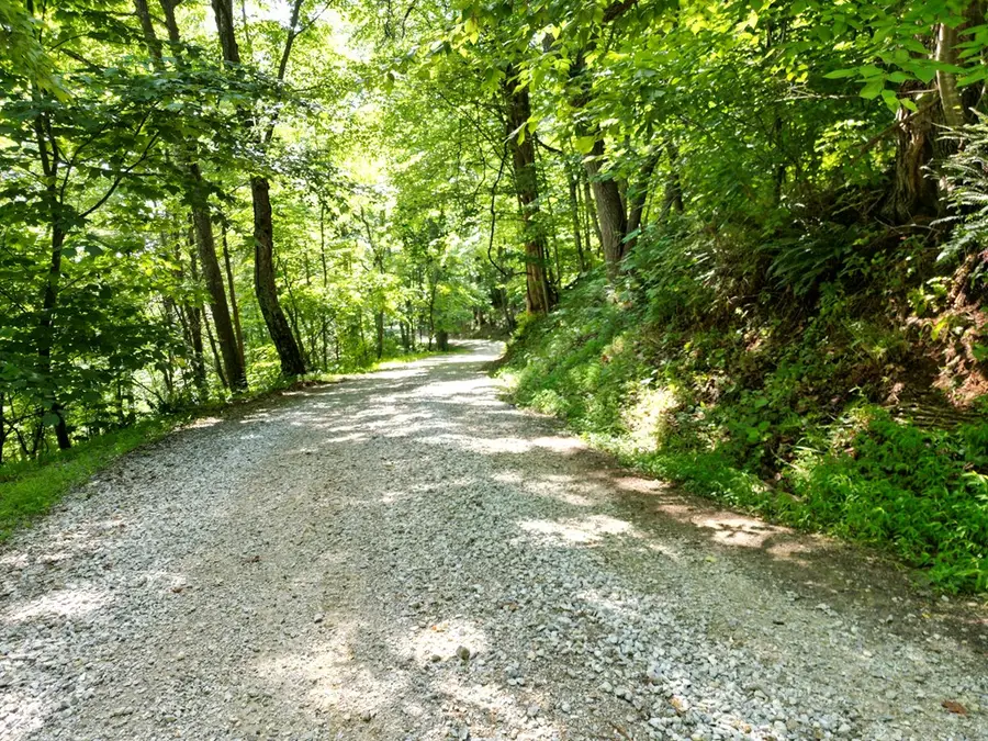 281 Scotts Branch Road, Amherst, VA 24521 - #3