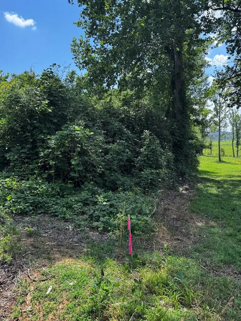 Easters Road, Boydton, VA 23917 - #2
