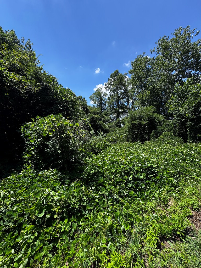 Easters Road, Boydton, VA 23917 - #3